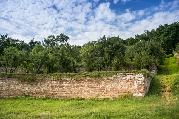 Співочі тераси дерев — стокове фото