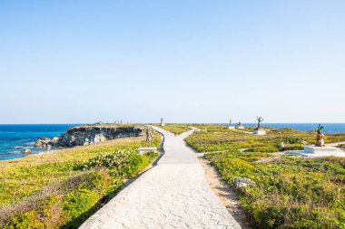 Isla Mujeres, Cancun, Meksika Yolu yemyeşil bir tarlada esiyor. Arka planda okyanus manzarası var. Sahne huzurlu ve sakin, dalgaların sesi uzaktan çarpıyor.