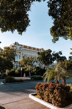 Merida, Yucatan, Meksika, arka planda bir bina ve önünde bir ağaç olan sokak sahnesi. Ağaç bir kaldırıma yakındır ve çalılarla çevrilidir. Binanın sokaktan görülebilen bir balkonu var.