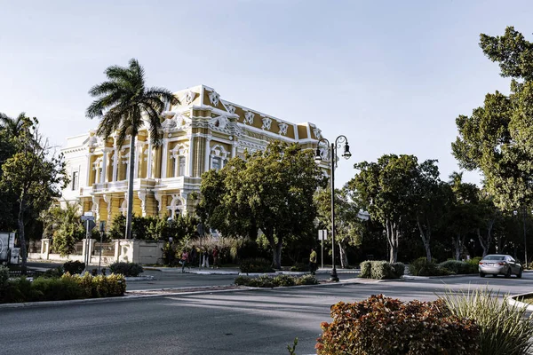 Merida, Yucatan, Meksika, sarı cepheli büyük bina yeşil bir ağacın önünde duruyor. Sokak ağaçlar ve çalılarla kaplı ve kaldırım boyunca park edilmiş birkaç araba var. Sahnenin huzurlu ve huzurlu bir atmosferi var.