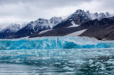 Svalbard seyahati - üzerinde büyük bir buz tabakası yüzen büyük bir su kütlesi. Buzullar dağlarla çevrili ve gökyüzü bulutlu.