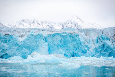 Svalbard gezisi. Arkasında beyaz bir dağ olan büyük mavi bir buz duvarı. Buz duvarı çok uzun ve çok buzlu.