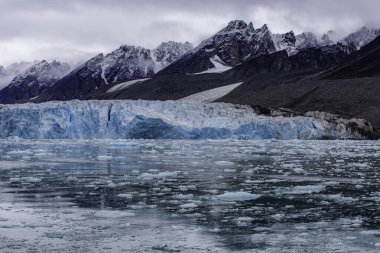Svalbard seyahati. Üstünde buz yüzen büyük bir su kütlesi. Su mavi ve buz beyazdır. Sahne huzurlu ve huzurlu.