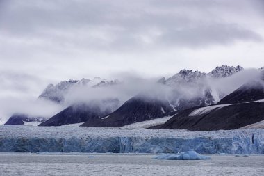 Svalbard seyahati. Önünde büyük bir su kütlesi olan bir dağ sırası. Su mavi ve gökyüzü bulutlu.