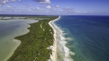 Sian Kaan Biyosfer Meksika Açık mavi okyanusu ve yemyeşil ormanı olan güzel bir sahil. Kumsal palmiye ağaçlarıyla kaplı ve su sakin.