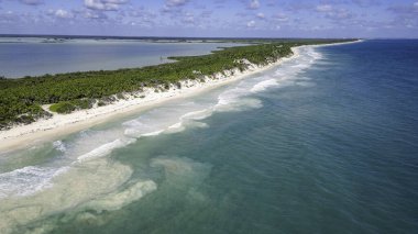 Sian Kaan Biyosfer Meksika. Arka planında mavi bir okyanus olan güzel bir sahil. Kumsal palmiye ağaçlarıyla kaplı ve su sakin.