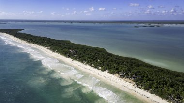 Sian Kaan Biyosfer Meksika Güzel plaj Arkasında yeşil bir orman. Okyanus sakin ve gökyüzü berrak