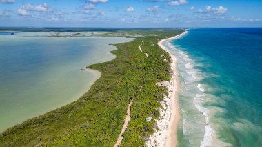 Sian Kaan Biosphere Mexico Beautiful beach with a green forest in the background. The water is calm and the sky is clear