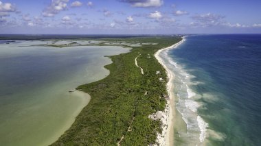 Sian Kaan Biyosfer Meksika Güzel plaj Arkasında yeşil bir orman. Su sakin ve gökyüzü berrak.