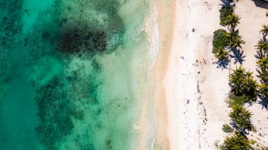 Palmiye ağaçları ve berrak mavi bir okyanusu olan güzel bir sahil. Su sakin ve kumsal boş.