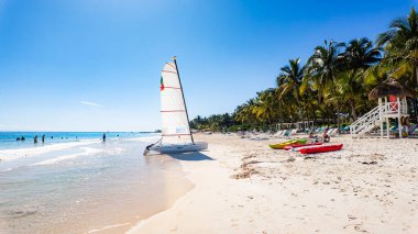Yelkenli kıyıya yanaştı, yakınlarda birkaç kişi var. Sahne rahat ve sakin, arkada okyanus ve palmiye ağaçları var.