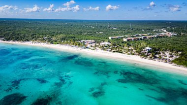 Açık mavi bir okyanusu ve arka planda yemyeşil bir ormanı olan güzel bir sahil. Kumsal, günün tadını çıkaran insanlarla dolu.