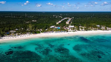 Açık mavi bir okyanusu ve arka planda yemyeşil bir ormanı olan güzel bir sahil. Kumsal, güneşin ve suyun tadını çıkaran insanlarla dolu.