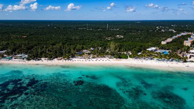 Açık mavi bir okyanusu ve arka planda yemyeşil bir ormanı olan güzel bir sahil. Kumsal, güneşin ve suyun tadını çıkaran insanlarla dolu.