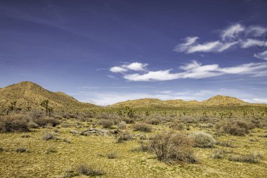 Joshua Tree Ulusal Parkı Çölünün açık mavi gökyüzü manzarası. Gökyüzü bulutlarla kaplı ve güneş ışıl ışıl parlıyor. Sahne huzurlu ve huzurlu, çölün engin genişliği her yöne doğru yayılıyor. Kuru.