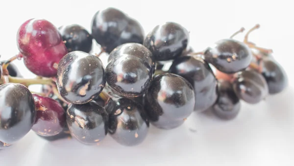 Schwarze Beeren — Stockfoto