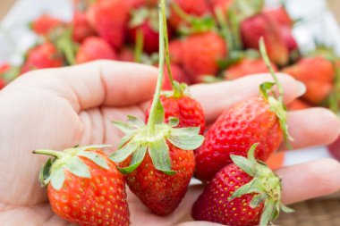 Çilek meyve arka planı için kullanılan