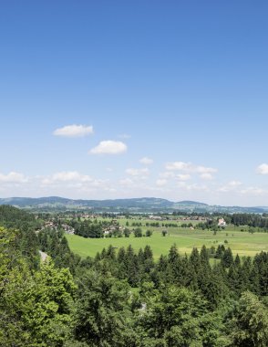 Hohenschwangau kale manzara görünümünden dikey tarzı. Bavaria, Almanya için yaz mavi gökyüzü ve güzel