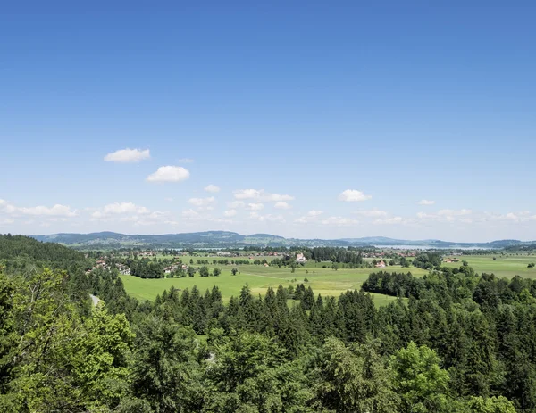 Hohenschwangau kale manzara görünümünden dikey tarzı. Bavaria, Almanya için yaz mavi gökyüzü ve güzel
