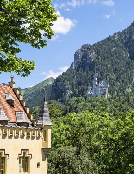 Château de Neuschwanstein point de vue du jardin à Hohenschwangau Château en Bavière, Allemagne — Photo