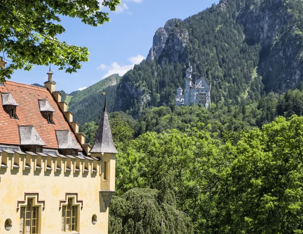 Château de Neuschwanstein point de vue du jardin à Hohenschwangau Château en Bavière, Allemagne — Photo