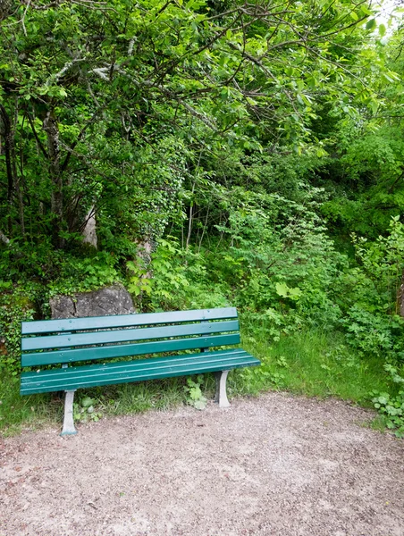 Green bench in forest. Feel of peaceful and happiness.