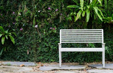 Yaprak ve bitki arka plan beyaz tezgah