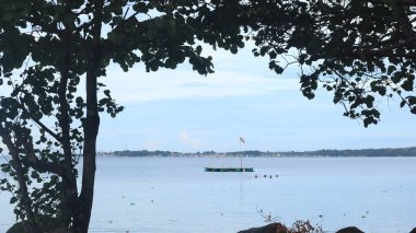 Yeşil ağaç çerçeveli deniz manzarası