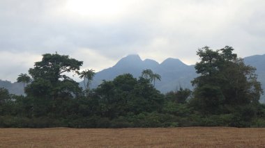 Uçsuz bucaksız bir tarla ve güzel bir dağ zemin.