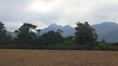 Uçsuz bucaksız bir tarla ve güzel bir dağ zemin.