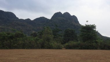 Uçsuz bucaksız bir tarla ve güzel bir dağ zemin.