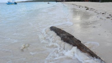 Öğleden sonra beyaz kumlu bir sahilde, dalgaların arasında yavaşça sallanan bir ağaç parçası..