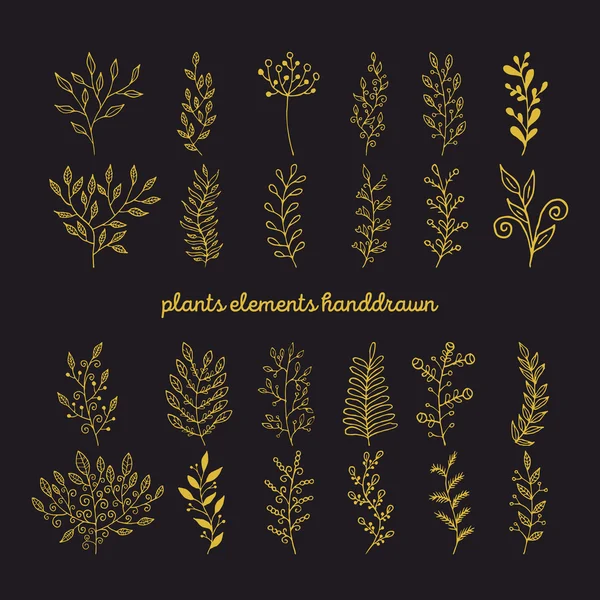 Colección de plantas decorativas rústicas. Elementos de diseño vectorial dibujado a mano . — Vector de stock