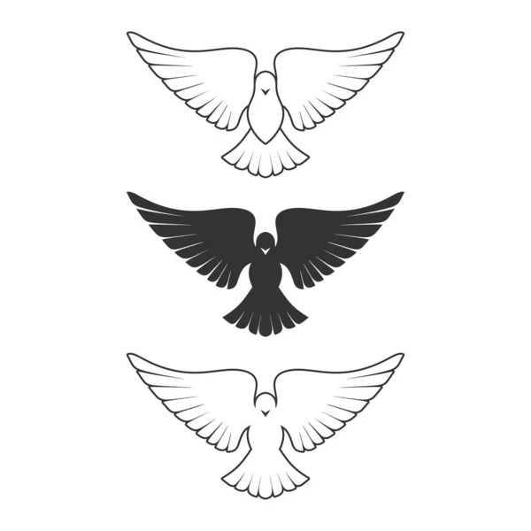Güvercin Barış Saflığın Sembolü Kutsal Ruh Kutsal Sembolü — Stok Vektör