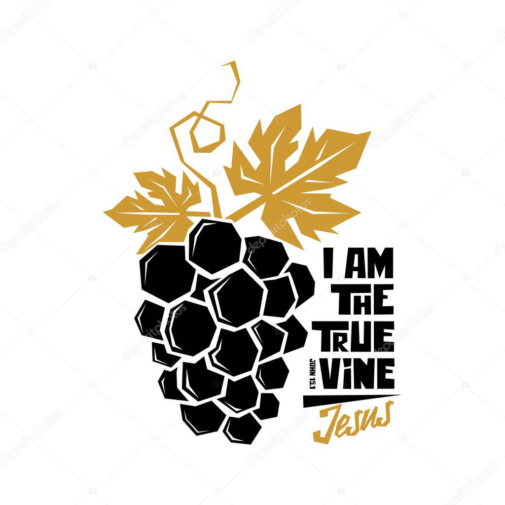 Biblical illustration. Christian art. I am the true vine.