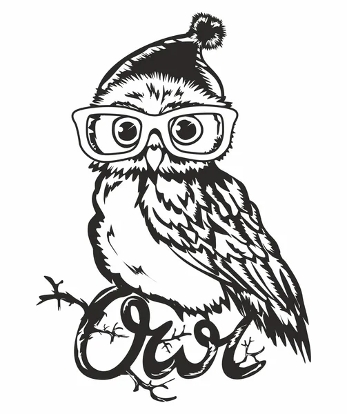 Owl glasses — Stock Vector