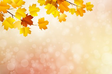 sonbahar arka plan bulanık circle parlayan bokeh ile