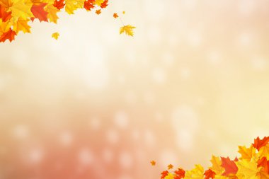 sonbahar arka plan bulanık circle parlayan bokeh ile