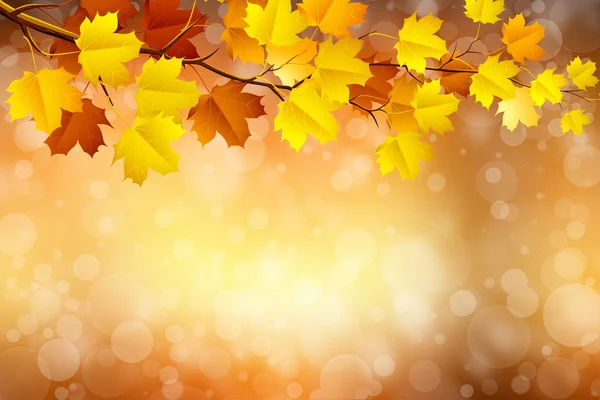 Autumn background with blurry circle glowing bokeh — Stock Photo, Image
