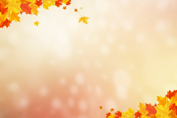 autumn background with blurry circle glowing bokeh