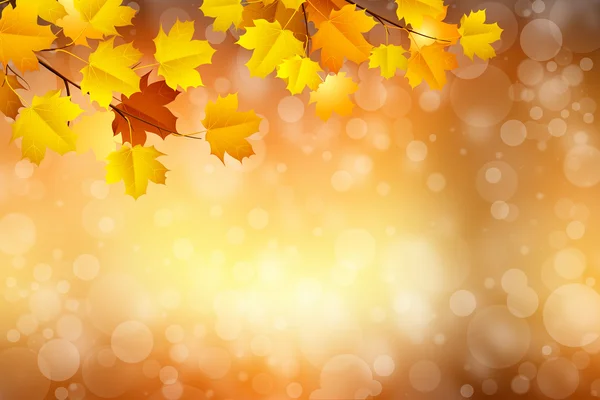 Podzimní pozadí s rozmazaný kruh zářící bokeh Stock Fotografie