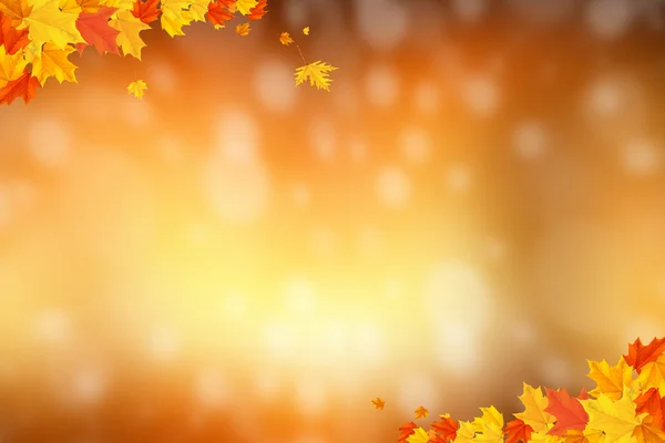 Podzimní pozadí s rozmazaný kruh zářící bokeh Stock Obrázky