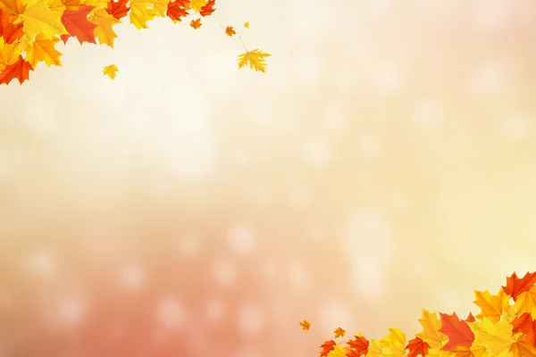 Podzimní pozadí s rozmazaný kruh zářící bokeh Royalty Free Stock Obrázky