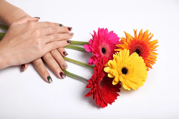 Gerbera bloem en handen in geïsoleerde wit achtergrond decoratie — Stockfoto