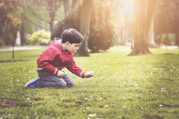 Pojken sitter i parken under våren — Stockfoto