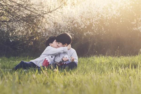 Brothers hugging sitting in the field — Stock Photo, Image