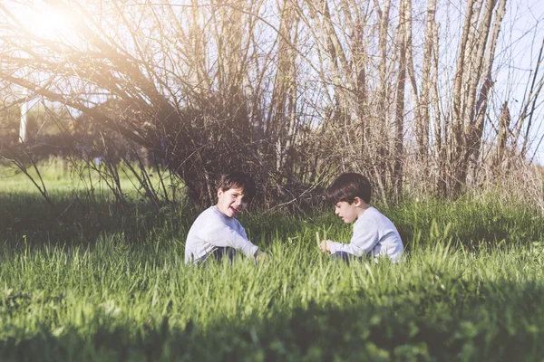 Lyckliga bröder sitter i fältet — Stockfoto