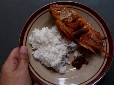 Yüksek açılı bir el kahverengi bir tabak tutarken nefis kızarmış tilapia balığı, pilav ve sambal biber sosu..