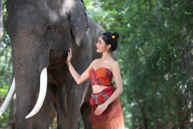 Thailand Countryside; Women with elephant on the forest background of sunset, elephant Thai in Surin Thailand.