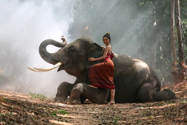 Thailand Countryside Women Elephant Forest Background Sunset Elephant Thai Surin — Stock Photo, Image